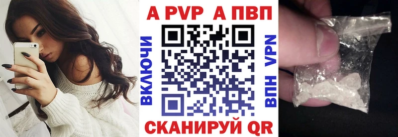 Alfa_PVP СК Западная Двина