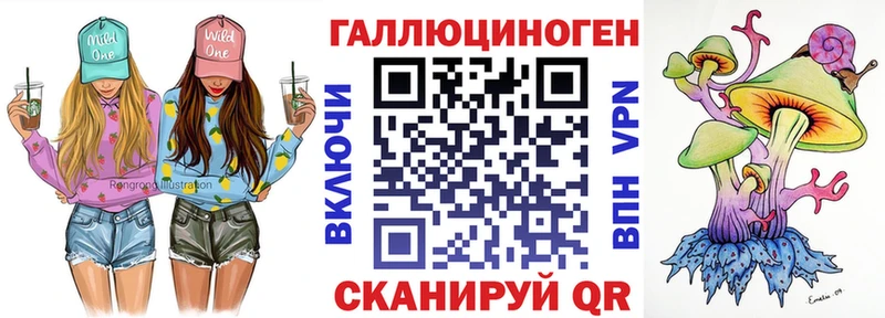 наркота  Западная Двина  Псилоцибиновые грибы Magic Shrooms 